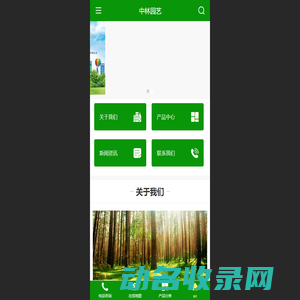 天津苗木